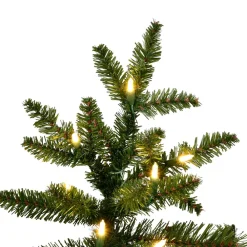 Vickerman 12' Natural Fraser Dura-Lit 1800Ww, K194191Led, ^ Stocking / Skirt