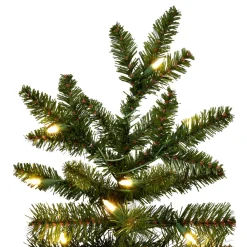 Vickerman 7.5' Natural Fraser Dura-Lit 700Ww, K194076Led, ^ Stocking / Skirt