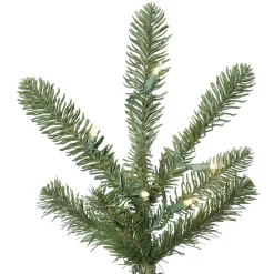 Vickerman 10'Alberta Spruce, G160286, ^ Stocking / Skirt