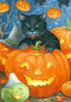 Custom DeCor Black Cat Pumpkin Flag^ Halloween General