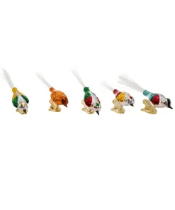 Kurt S Adler Early Years Glass Bird Clip-On Ornaments, 5-Piece Box Set, C1929, Kurt Adler^ Glass