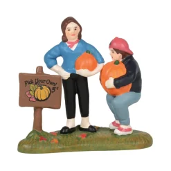 Discount Hv, Patty's Pumpkin Patch, 6005479, Halloween Village Snow Village