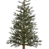 AllState 5'Hx35"D Angel Pine Slim Tree Wood Trunk, Yta695-Gr, Floral^ Un-Lit Trees