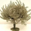 Discount Olive Tree Small, 5" , 55517 5"