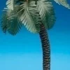 Best Palm Tree Single, , 56571 Religious