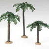 Best Palm Trees Single Trunk, , 56572 7.5"