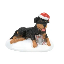 Flash Sale Sv, A Perfect Gift For Snots, 6011427, Snow Village , Christmas Vacation Snow Village