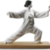 Online Tai Chi Lladro